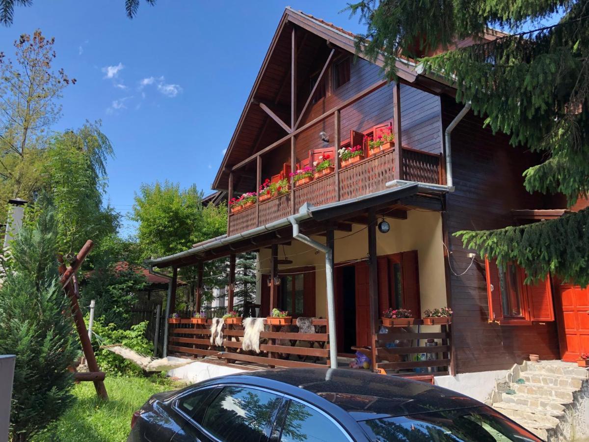 Вилла Family House Буштени Экстерьер фото
